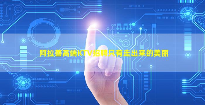 阿拉善高端KTV招聘只有走出来的美丽